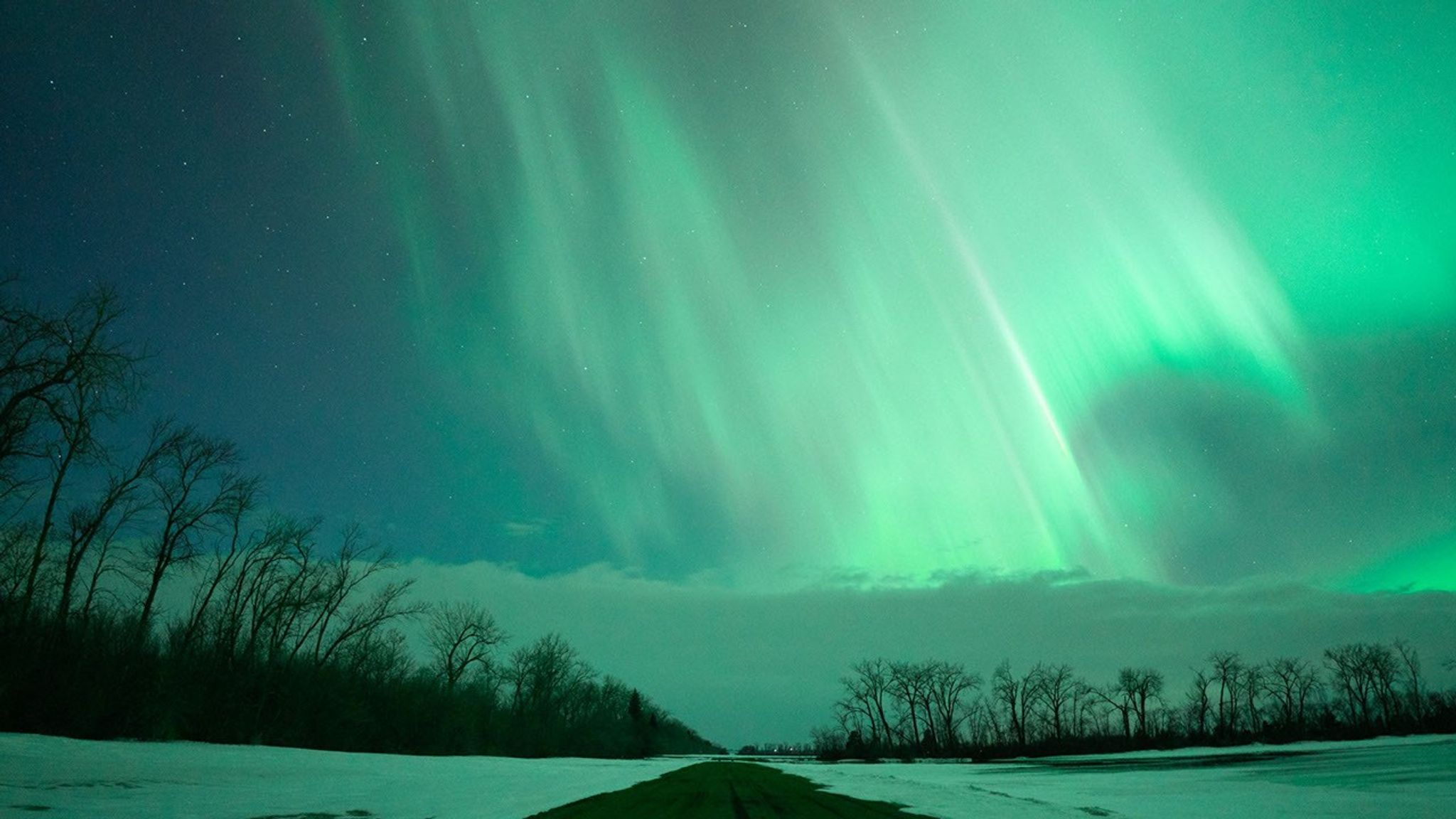 Curtains of green aurora shimmer against a dark blue night sky above a flat, snowy landscape. A small, dark road stretches away from the photographer toward the horizon. Leafless trees stand along the left side of the road and in the distance on the right. A band of white clouds separates the horizon from the green aurora above.